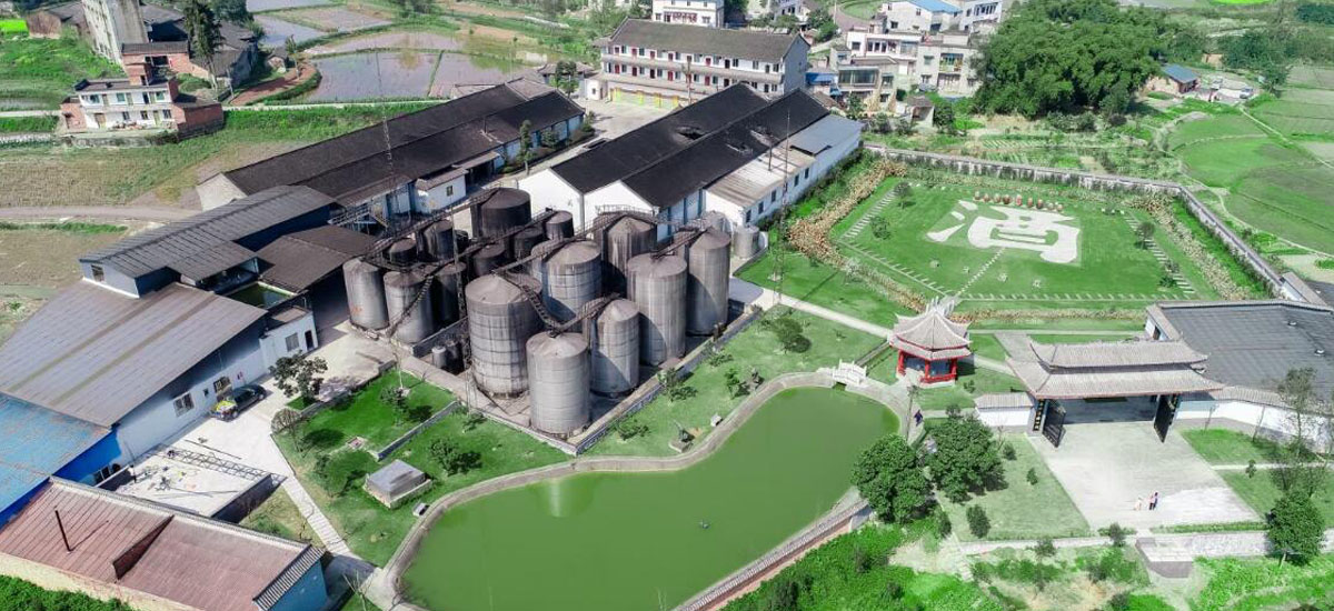 瀘州樹(shù)清酒莊