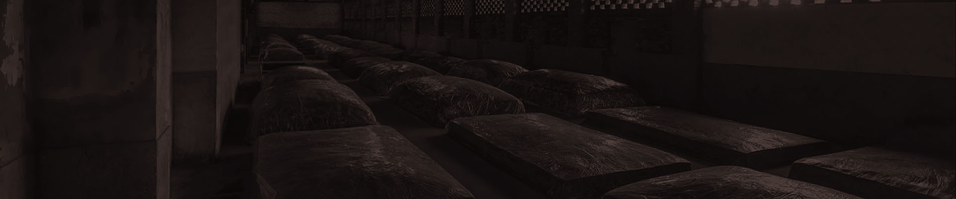 瀘州樹清酒莊環境